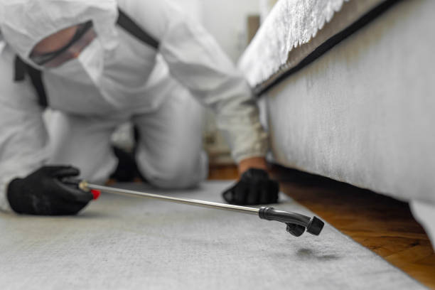 Professional Termite Control technician working in Pecatonica, IL