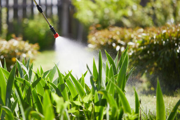 24/7 Emergency Termite Control experts in Pecatonica, IL