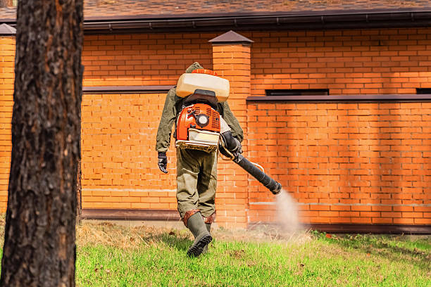 Top rated local Termite Control specialists in Pecatonica, IL